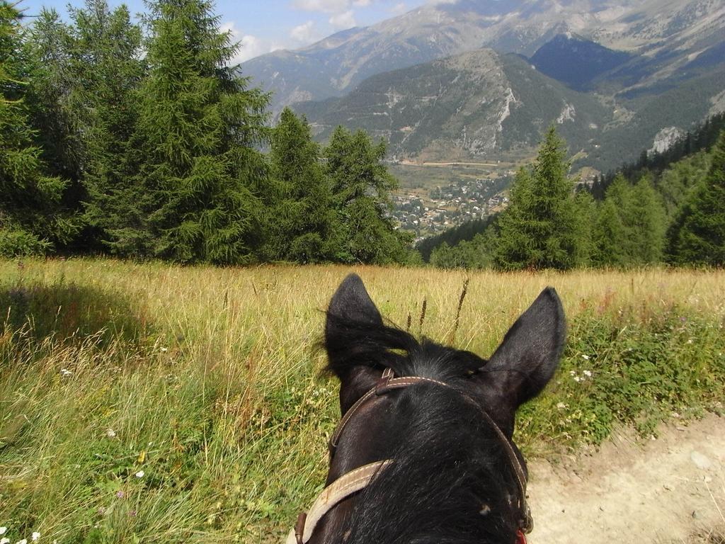 Gite Montagne Mercantour Villa Valdeblore Dış mekan fotoğraf